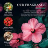 Baylis & Harding Boudoire Handáburður Gjafasett 3x50ml