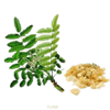 Frankincense Ilmkjarnaolía Relaxation Centre Collection 10 ml