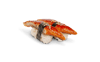 Unagi nigiri