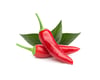 Click and Grow Smart Garden Áfyllingl 3-pack - Eld pipar (Chili Pepper)