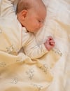 Jana muslin swaddle – Tiny friends