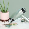 Remington Botanicals Hárblásari