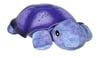 Tranquil Turtle – fjólublá