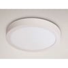 LED plafon light round