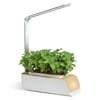 GROW YOUR OWN - SMART GARDEN