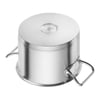 Zwilling Pro pottur