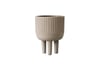 Kdam Vasi | Small