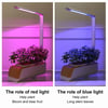 GROW YOUR OWN - SMART GARDEN