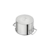 Zwilling Vitality pottasett
