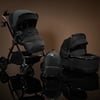 Reef Espresso Bundle