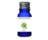 Basilik Ilmkjarnaolía Relaxation Centre Collection 10 ml