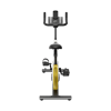 Kingsmith Sprint Bike þrekhjól