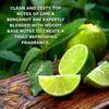 Baylis & Harding Citrus, Lime & Mint Men's Refreshing Sturtu Duo Gjafa sett