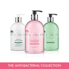 Baylis & Harding Viltur Rabbarbari og Bleikur Pipar Anti-Bacterial Hand Sápa, 500 ml