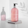 Baylis & Harding Viltur Rabbarbari og Bleikur Pipar Anti-Bacterial Hand Sápa, 500 ml