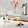 Sage InFizz Fusion Kolsýrutæki