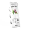 Click and Grow Smart Garden Áfylling 3-pack - Fjólublár Eld Pipar (Purple Chili Pepper)