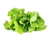 Click and Grow Smart Garden Áfylling 3-pack - Grænkál (Green Lettuce)