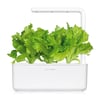 Click and Grow Smart Garden Áfylling 3-pack - Grænkál (Green Lettuce)