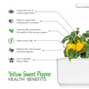 Click and Grow Smart Garden Áfylling 3-pack - Gul sæt paprika (Yellow Sweet Peppers)