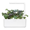 Click and Grow Smart Garden Áfylling 3-pack - Rautt Kál (Red Kale)