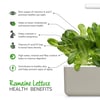 Click and Grow Smart Garden Áfylling 3-pack - Romaine Lettuce