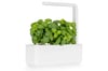 Click and Grow Smart Garden 3 HVÍTUR