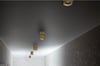 Easy W100 brass