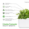 Click and Grow Smart Garden Áfylling 3-pack Kóríander - (Cilantro eða Coriander)