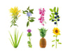 Click and Grow Smart Garden Áfylling 3-pack - Tilraunapakki án fræja (Experimental)