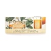 Aromas Artesanales de Antigua Orange Blossom Gjafa- og dekursett