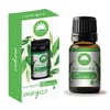 Elysium Spa Aromatherapy Orkuaukandi Eucalyptus Ilmkjarnaolía 10 ml
