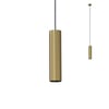 Delphi 30 gyllt