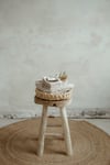 Hárbursti tré með geitahári