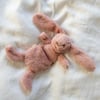 Houston Heavy Teddy mini Bunny rose