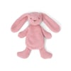Houston Heavy Teddy small Bunny rose