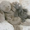 Houston Heavy Teddy Small Dino