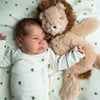 Houston heavy teddy small Lion – lítið ljón
