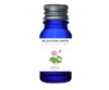 Lótusblóma Ilmkjarnaolía Relaxation Centre Collection 10 ml