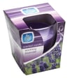 Pan Aroma Ilmkerti - Róandi lavander