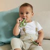 Starter set Olive