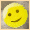Scrub Daddy Tvenna