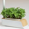 GROW YOUR OWN - SMART GARDEN