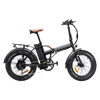 Rawbike 250E 250W rafmagnshjól