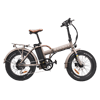 Rawbike 250E 250W rafmagnshjól
