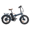 Rawbike 250E 250W rafmagnshjól