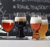 Spiegelau Beer Cl. tasting kit Craft beer 4 stk.