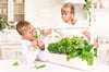 Click and Grow Smart Garden 9 Starter Kit HVÍTUR
