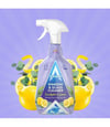 Window & Glass Cleaner Eucalyptus & Lemon 750ml