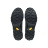 Tecnica Forge S GTX Womens